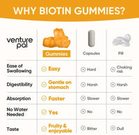 Venture Pal Biotin Gummies with Collagen & Keratin - Hair Growth Support Skin and Nail Strength Vitamins for Women & Men - Biotin 10000mcg | B-Complex | Saw Palmetto - Sugar Free, Non-GMO, 60ct