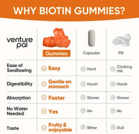 Venture Pal Biotin Gummies with Collagen & Keratin - Hair Growth Support Skin and Nail Strength Vitamins for Women & Men - Biotin 10000mcg | B-Complex | Saw Palmetto - Sugar Free, Non-GMO, 60ct