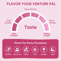 Venture Pal Sugar Free Electrolyte Powder Packets - Liquid Daily IV Drink Mix for Rapid Hydration & Party Recovery- 16 Sticks