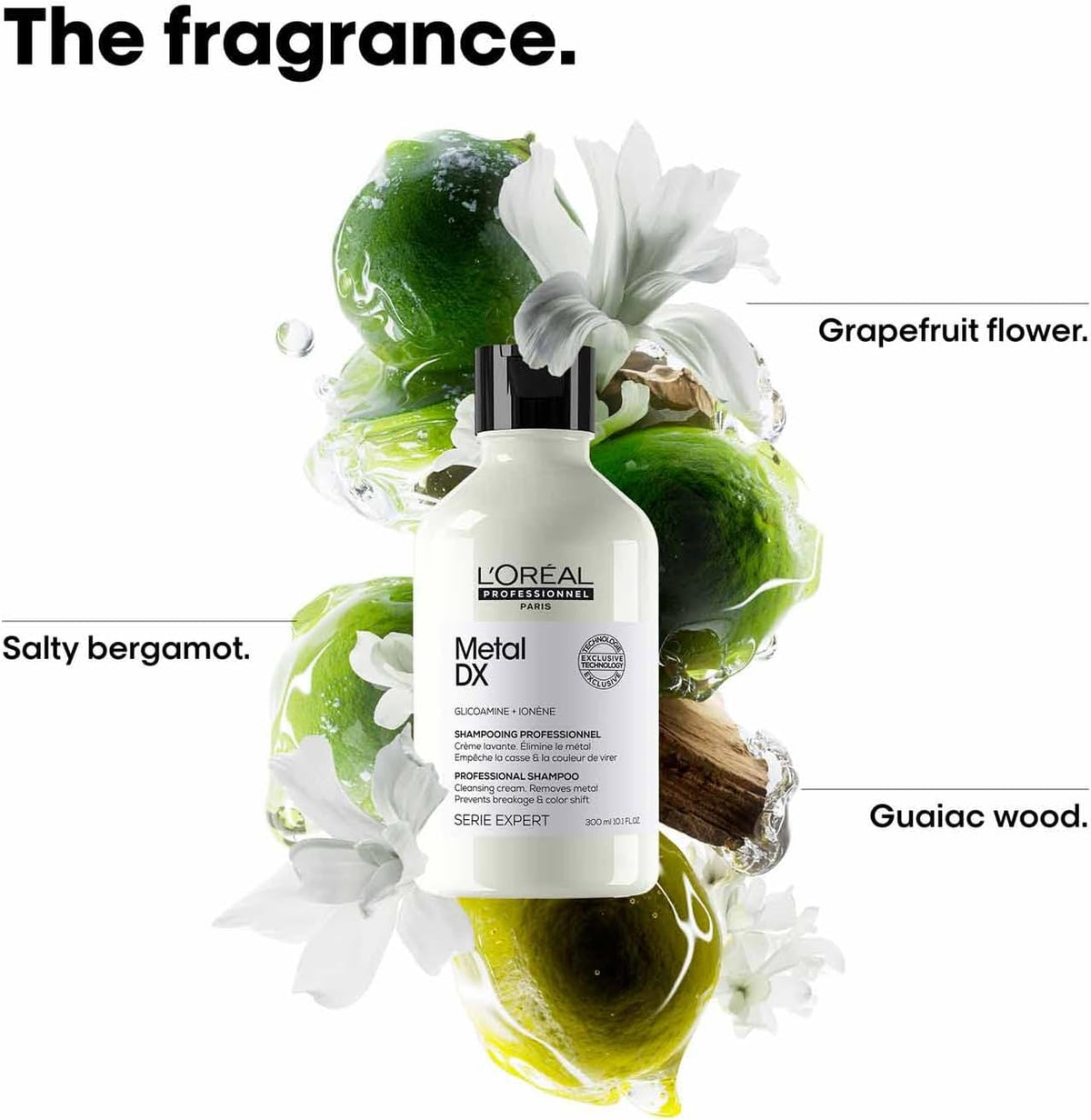 L'Oréal Professionnel Hair Shampoo for Coloured and Damaged Hair, Long-Lasting Colours & Shine, Series Expert, Metal DX Shampoo, 300 m