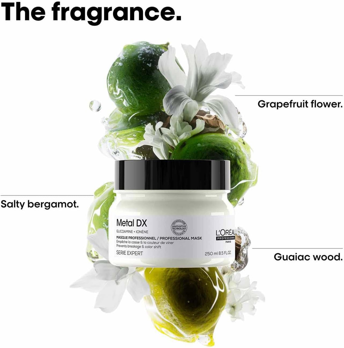 L'Oréal Professionnel Hair Mask for Coloured and Damaged Hair, Long-Lasting Colours & Shine, Series Expert, Metal DX Mask, 250 ml