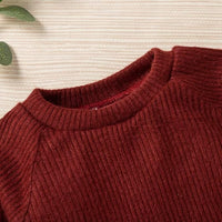 3pcs Newborn Baby Clothes Long Sleeve Ribbed Top Pants and Matching Hat Set Fall Spring Outfit Birthday Gift 0-24 Months