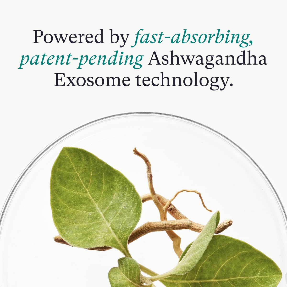 Nutrafol Women's Hair Serum, Supports Visibly Thicker and Stronger Hair, Vegan