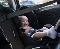 InfaSecure Legacy Convertible Car Seat for 0 to 8 Years, Black (CS4313)