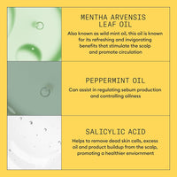 Nioxin Shampoo & Conditioner Liter Duo Sets | Prepacks with Pumps Included | Systems 1-4 | For Natural, Colored, & Damaged Hair with Light to Progressed Thinning | Strengthen & Boost Hair Density