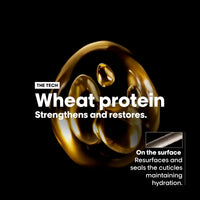 L'oreal Professionnel Serie Expert Absolut Repair Shampoo 300 ml