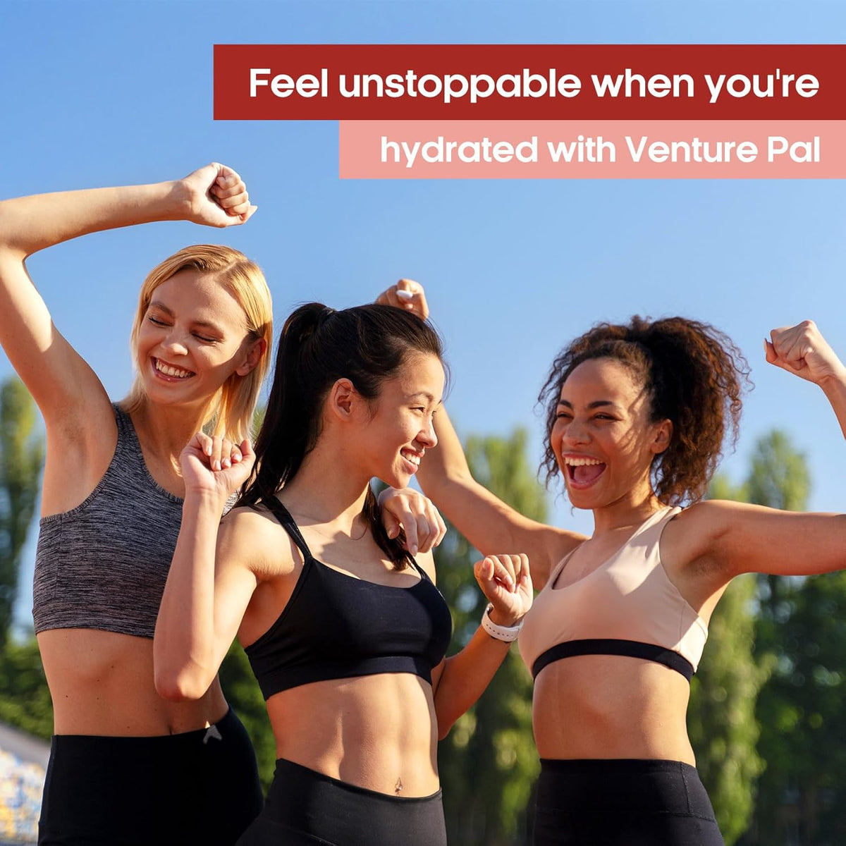 Venture Pal Sugar Free Electrolyte Powder Packets | Non-GMO | Certified Vegan | 16 Sticks