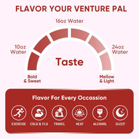 Venture Pal Sugar Free Electrolyte Powder Packets | Non-GMO | Certified Vegan | 16 Sticks