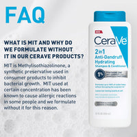 CeraVe 2 In 1 Hydrating Anti Dandruff Shampoo And Conditioner, 1% Pyrithione Zinc Dandruff Treatment