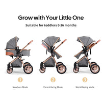 Luxury 2-in-1 Baby Stroller, Foldable Travel Stroller for Newborn to Toddler, Convertible Stroller with All-Terrain Wheels and UPF 50+ Canopy, Baby Glide Gray Stroller