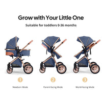 Luxury 2-in-1 Baby Stroller, Foldable Travel Stroller for Newborn to Toddler, Convertible Stroller with All-Terrain Wheels and UPF 50+ Canopy, Baby Glide Blue Stroller
