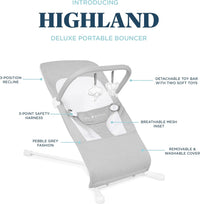 Baby Delight Highland Baby Bouncer | Infant | 0 – 6 Months | 3-Position Recline | Pebble Grey