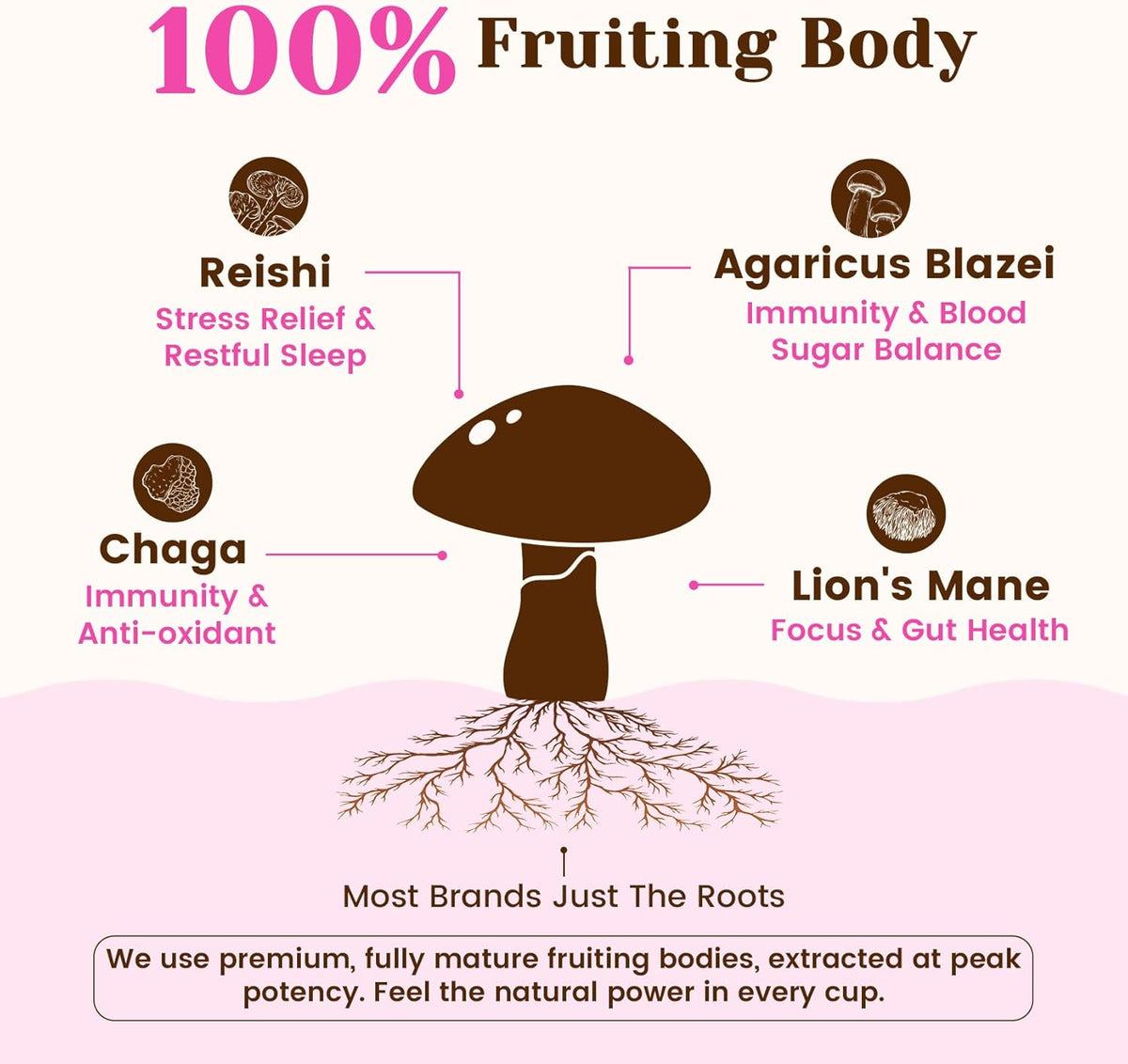 Venture Pal Premium Adaptogenic Mushroom Coffee with Multi Collagen, Lions Mane, Reishi, Chaga, Biotin, Vitamin C – Supports Energy, Focus, Skin, Hair, Nails, Joints, Digestion & Immunity,30 Servings