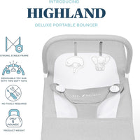Baby Delight Highland Baby Bouncer | Infant | 0 – 6 Months | 3-Position Recline | Pebble Grey