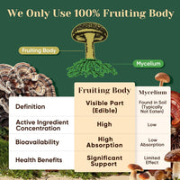 Venture Pal 16 in 1 Mushroom Powder (90 Servings) - 1,557,000mg Mushroom Coffee Alternative with Ashwagandha, Lion’s Mane, Chaga & More | 100% Fruiting Bodies | 10:1 Extract for Immune,Focus & Energy