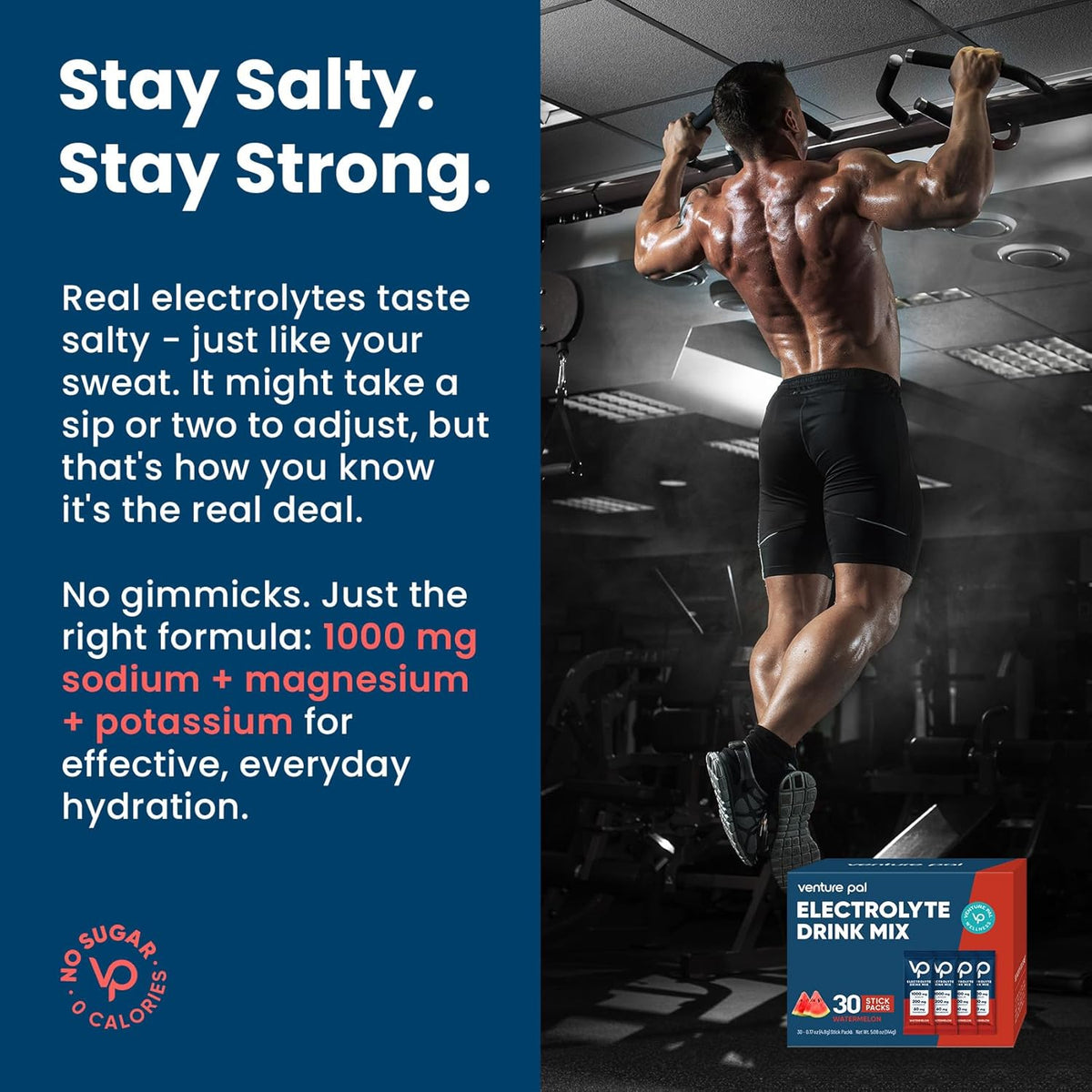 Venture Pal High Sodium Sugar Free Electrolytes Powder Packet - Hydration Packets with Vitamin, Sodium & Potassium | Zero Calories | Vegan, Keto & Paleo Friendly Electrolyte Drink Mix - 30 Sticks