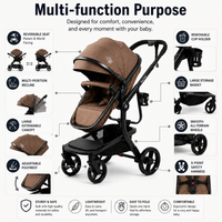 Baby Glide Luxury High View Baby Stroller with Reversible Seat, One-Hand Fold, UPF50+ Canopy,Brown